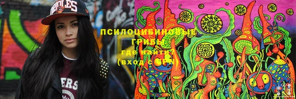 прущая мука Арсеньев