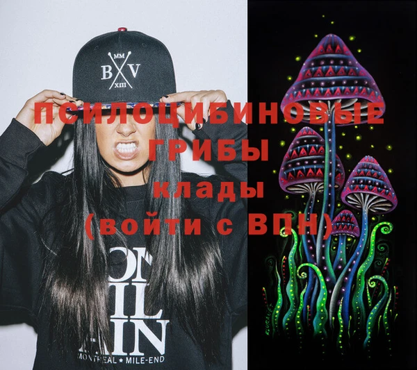 твердый Гусь-Хрустальный