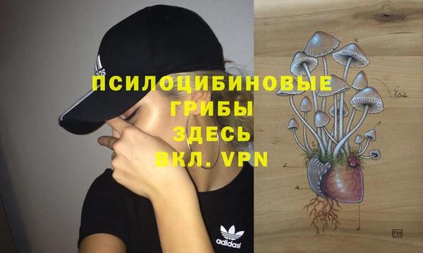 метадон Алексин