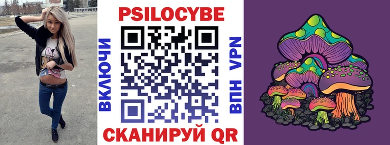 kraken онион  купить  цена  Новороссийск  Псилоцибиновые грибы прущие грибы 